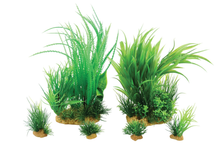 Zolux Pianta plantkit medium n.1