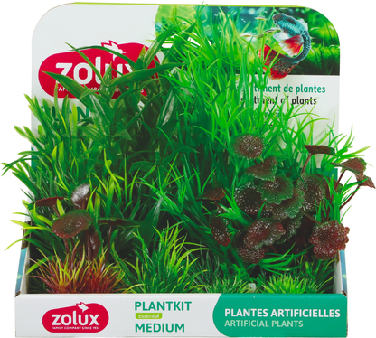 Zolux Pianta plantkit medium n.2