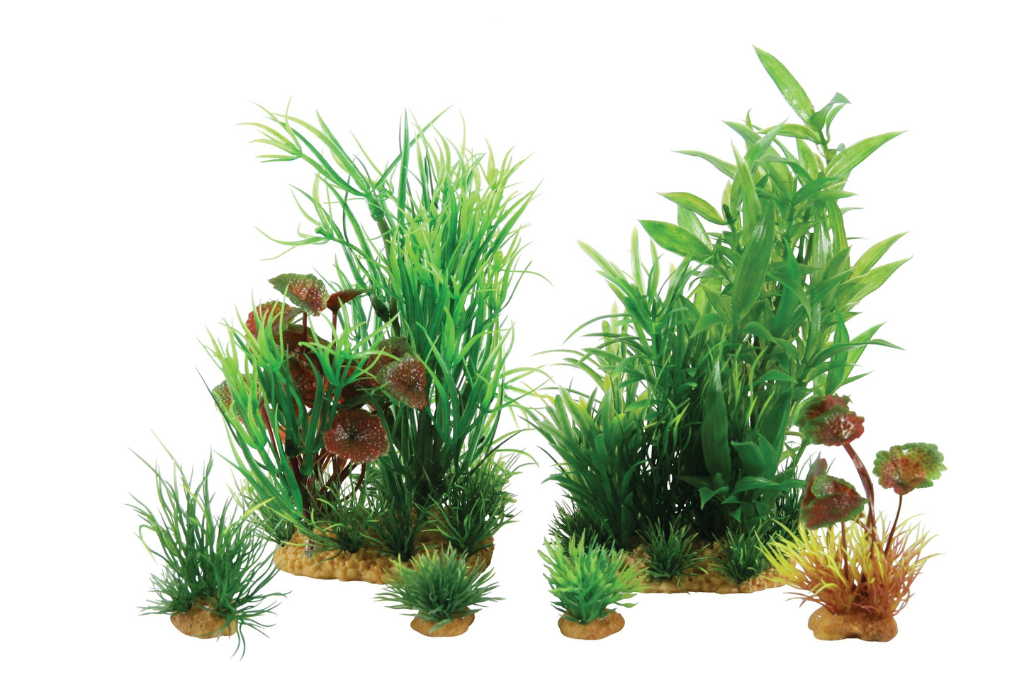 Zolux Pianta plantkit medium n.2