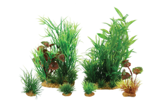 Zolux Pianta plantkit medium n.2
