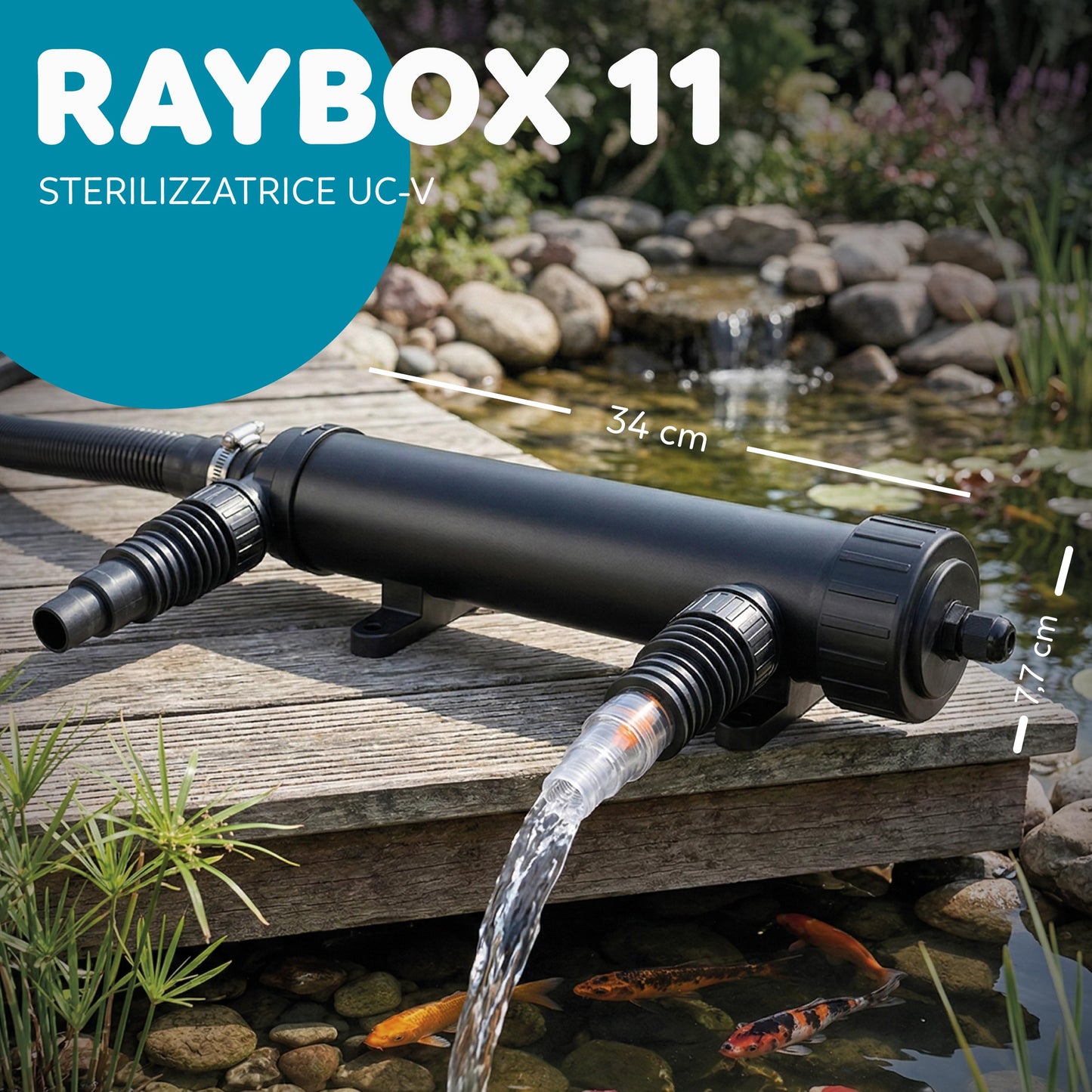 AQPond Raybox Sterilizzatrice per laghetto e acquari
