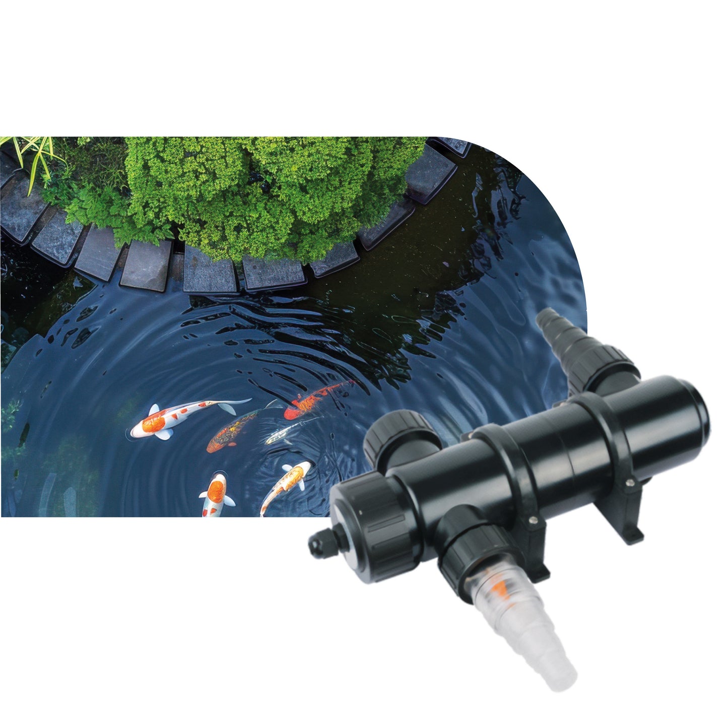 AQPond Raybox Sterilizzatrice per laghetto e acquari