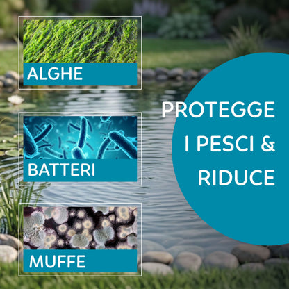 AQPond Raybox Sterilizzatrice per laghetto e acquari