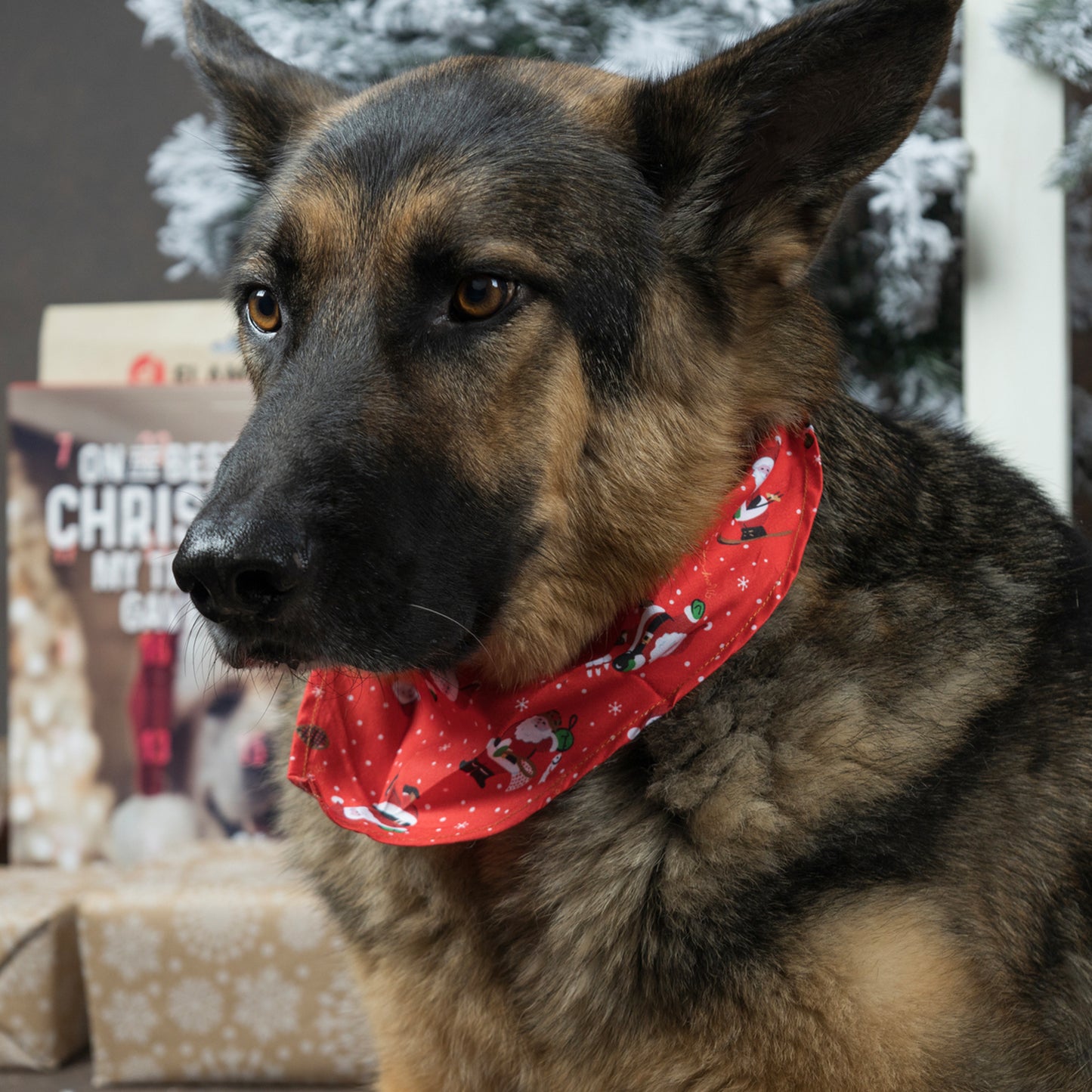 Flamingo Bandana Natale per cane MIK Rosso 60x31CM