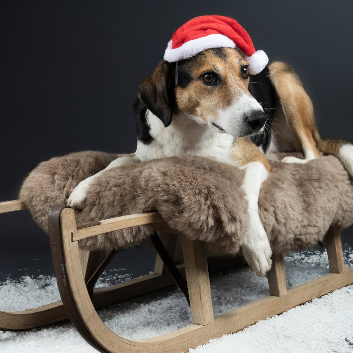 Flamingo Natale Ponne Cappello da Babbo Natale per cane Rosso 17,5x4x22CM