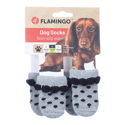 Flamingo Calza per cani Asia 4pzs grigio