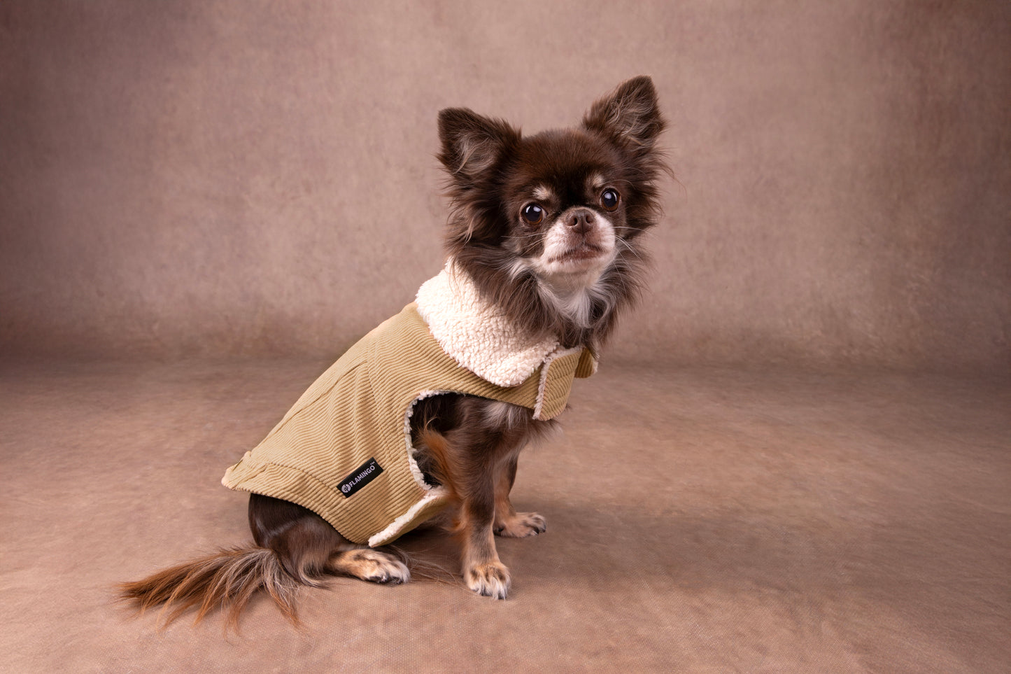 Flamingo Cappotto per cane Endor Beige diverse taglie