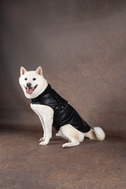 Flamingo Cappotto per cane Sergio nero in cuoio sintetico stile chiodo