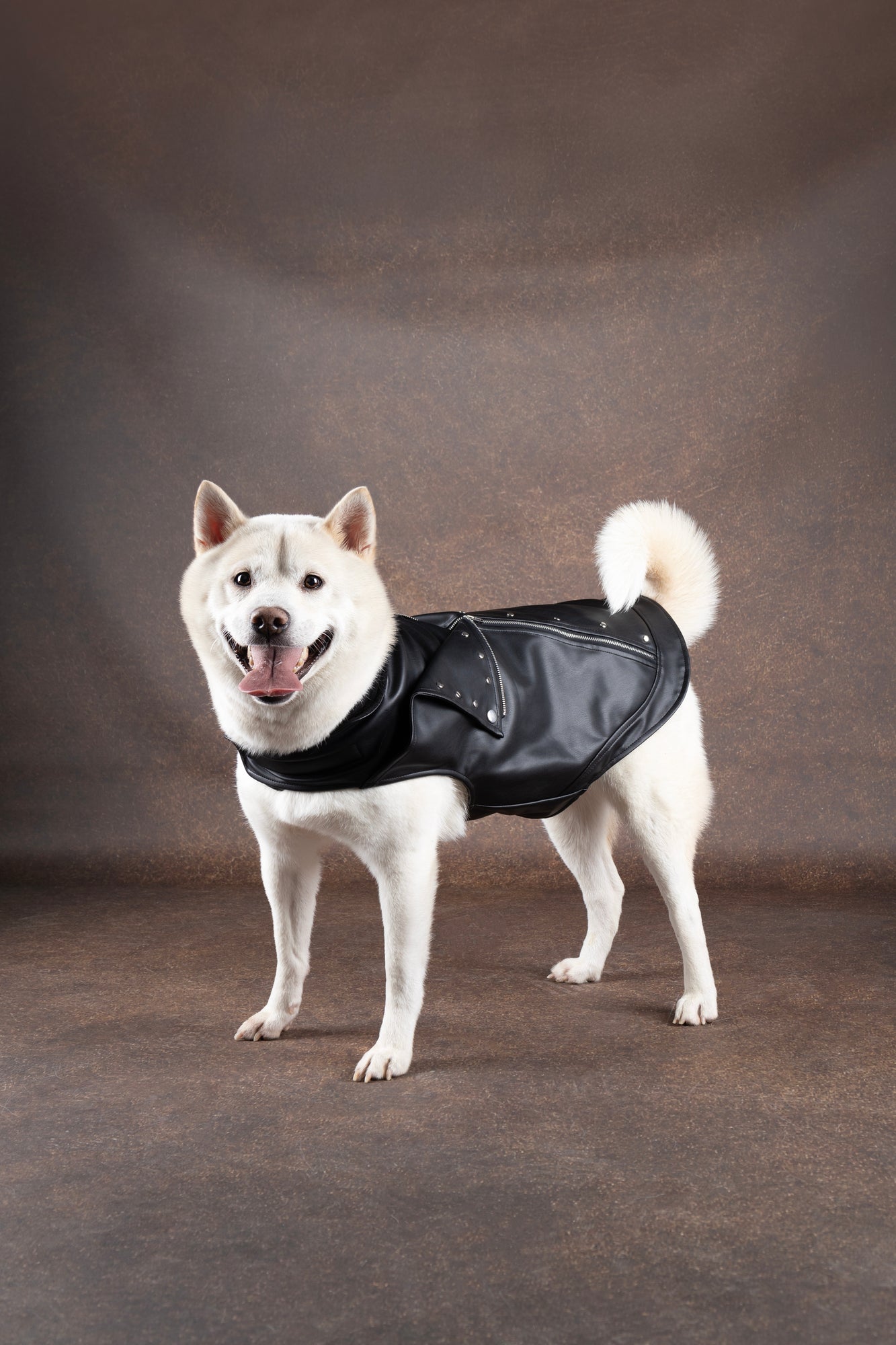 Flamingo Cappotto per cane Sergio nero in cuoio sintetico stile chiodo