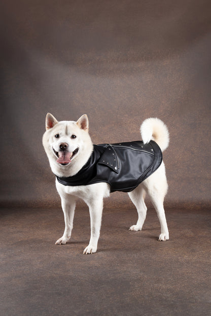 Flamingo Cappotto per cane Sergio nero in cuoio sintetico stile chiodo