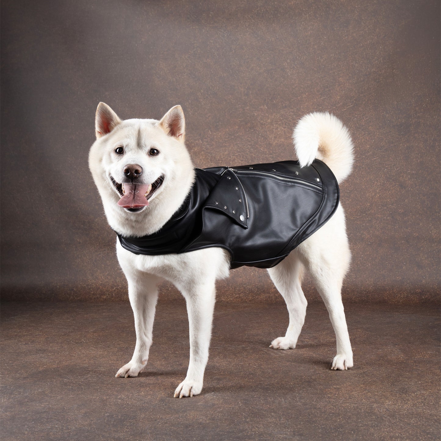 Flamingo Cappotto per cane Sergio nero in cuoio sintetico stile chiodo