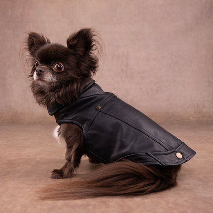 Flamingo Cappotto per cane Sancho nero in cuoio sintetico stile Biker