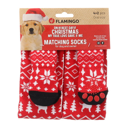 Flamingo calzini abbinati Natale per cane e persona Keysa Rosso