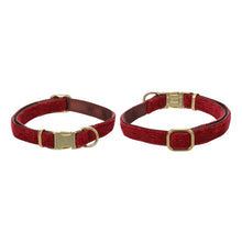 Flamingo Collare per cane rosso due taglie