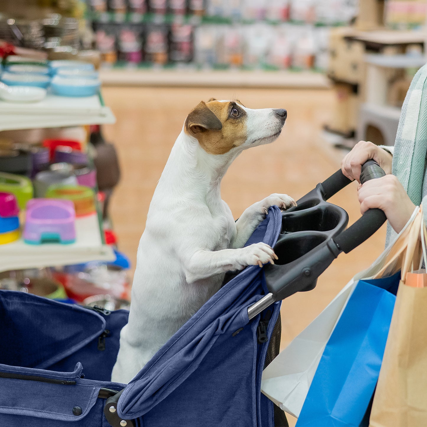 AqpetFriends PetBuggy Passeggino Comodo e Pratico Per Cani Di Taglia Medio/Piccola