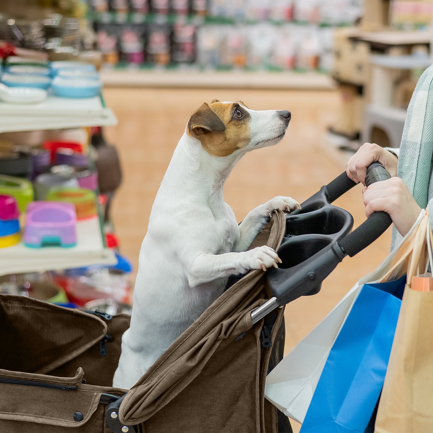 AqpetFriends PetBuggy Passeggino Comodo e Pratico Per Cani Di Taglia Medio/Piccola