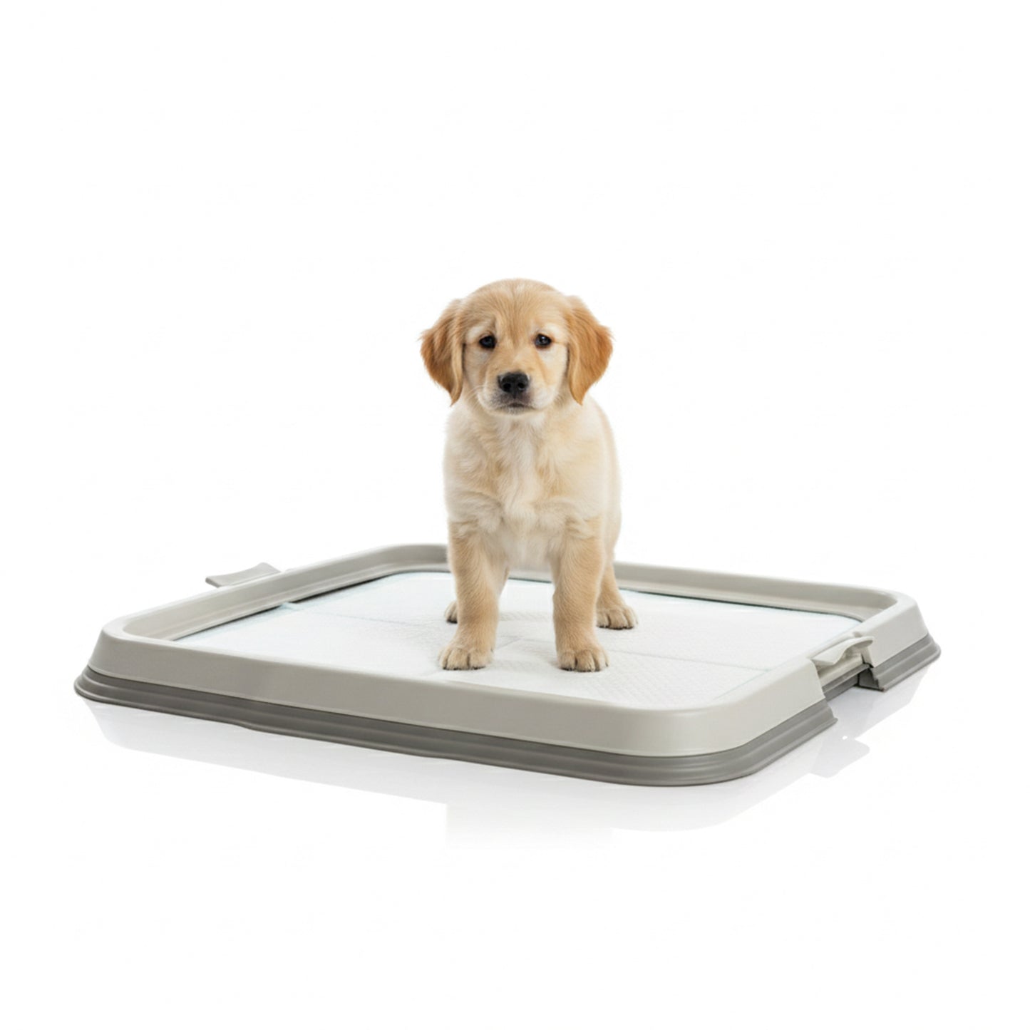 AQPetFriends BauSquare toilette 60x60 per cani