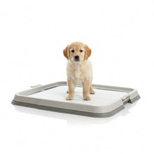 AQPetFriends BauSquare toilette 60x60 per cani