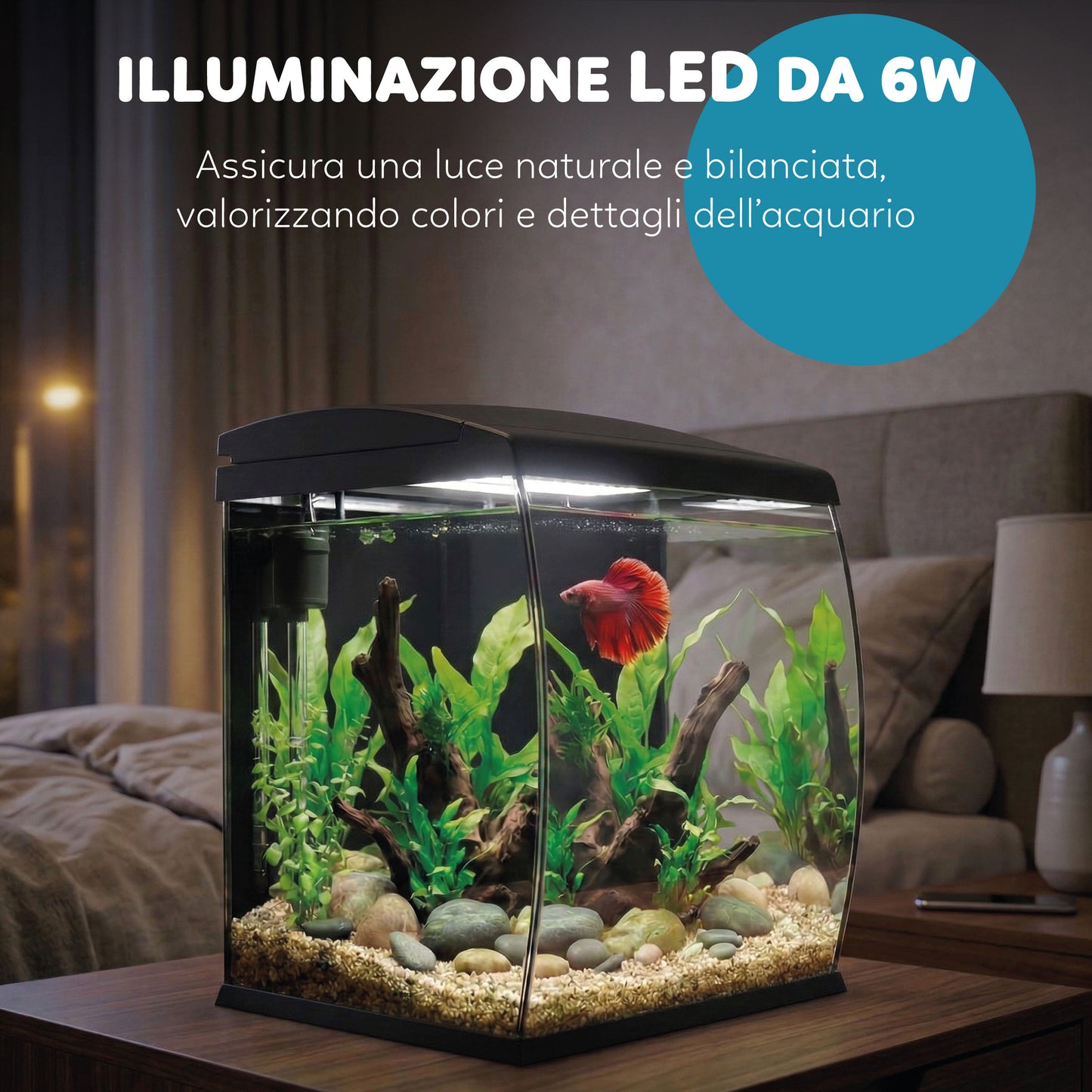 AQPet CurVe Acquario panoramico in vestro completi di filtro illuminazione riscaldatore 30.2x33.5x42.5 35L