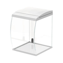AQPet CurVe Acquario panoramico in vestro completi di filtro illuminazione riscaldatore 30.2x33.5x42.5 35L