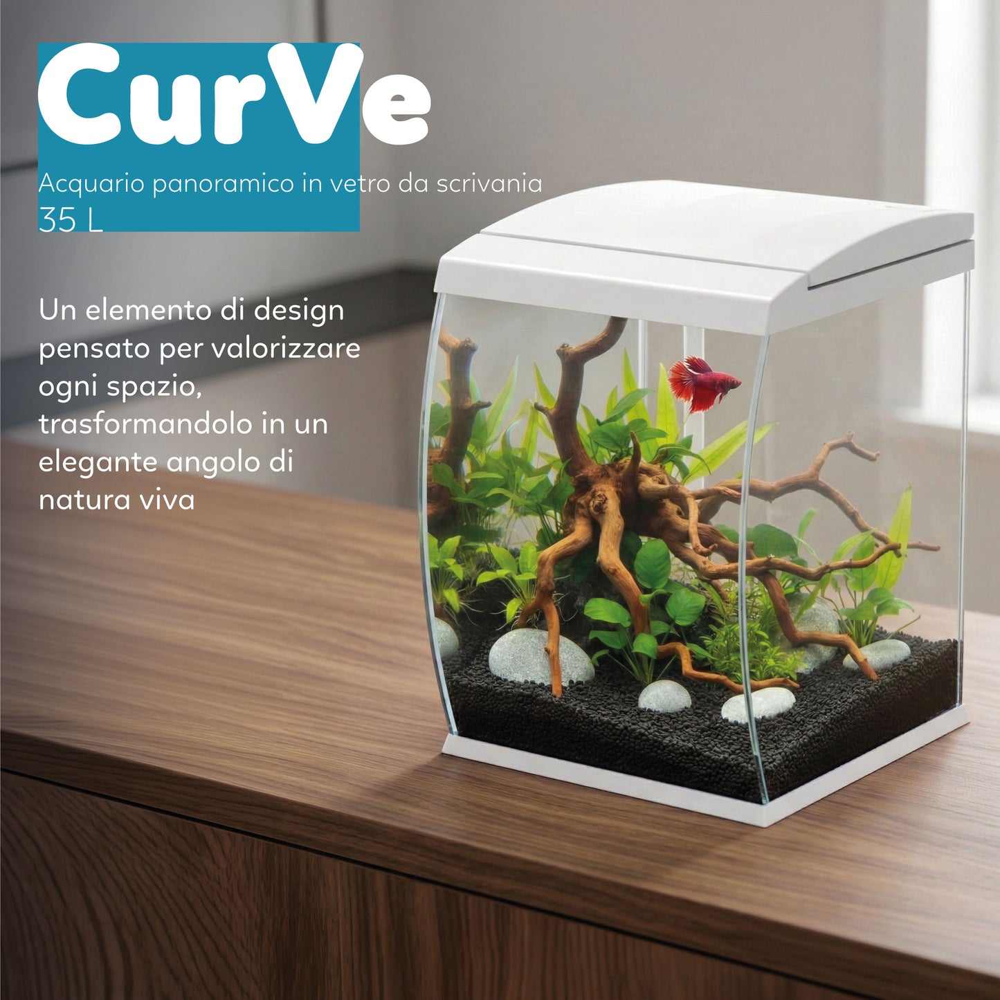 AQPet CurVe Acquario panoramico in vestro completi di filtro illuminazione riscaldatore 30.2x33.5x42.5 35L