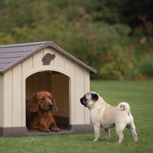 AQPetFriends Haus Cuccia in plastica