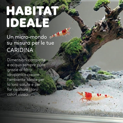 AQPet HyDo Acquario in plastica da scrivania 18x9.5x21
