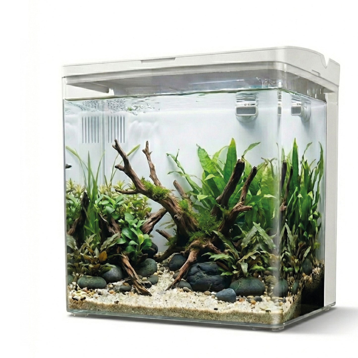 AQPet Neya acquario in plastica da scrivania 20x15x20