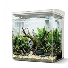 AQPet Neya acquario in plastica da scrivania 20x15x20