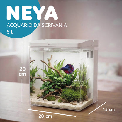 AQPet Neya acquario in plastica da scrivania 20x15x20