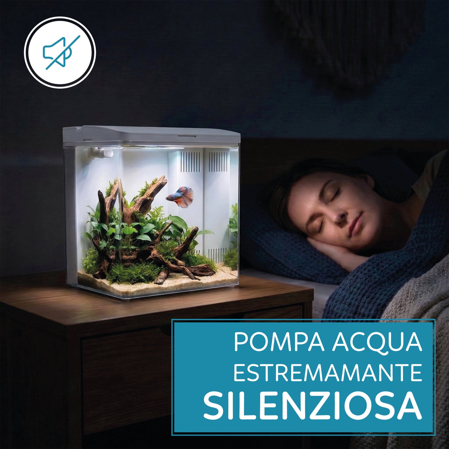 AQPet Neya acquario in plastica da scrivania 20x15x20