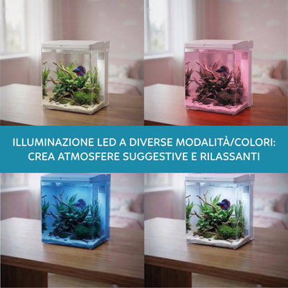 AQPet Neya acquario in plastica da scrivania 20x15x20