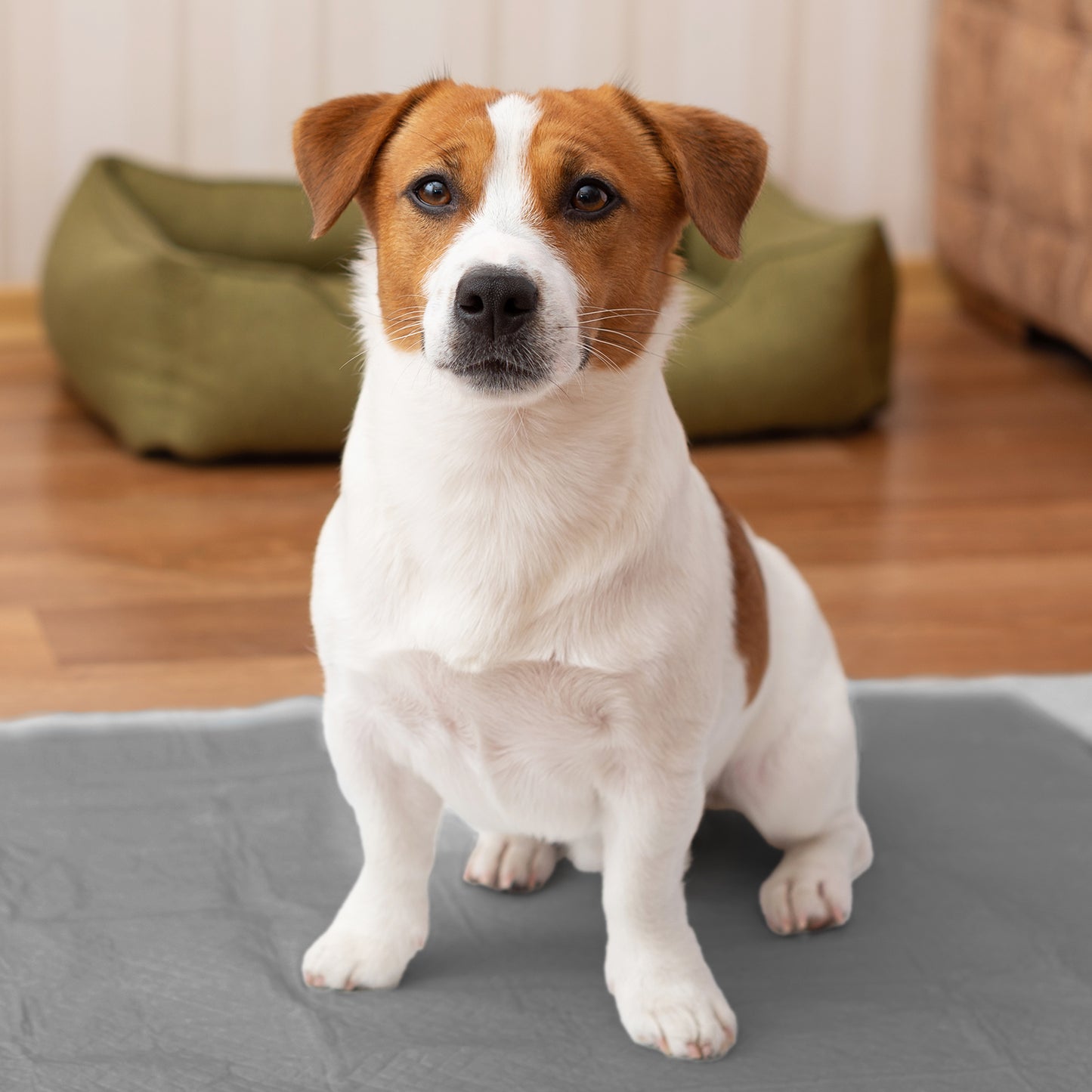 AqpetFriends Nappy Pet Carbo Tappetino Assorbente Con Strisce Adesive Al Carbone Attivo 50 pz