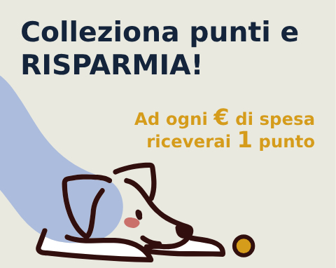 raccolta punti