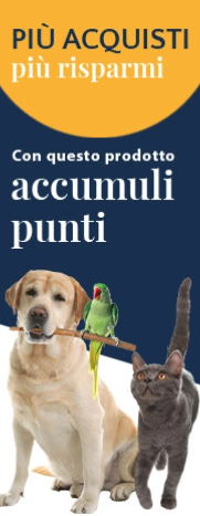 raccolta punti